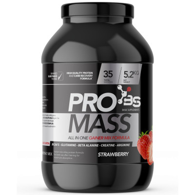 PRO MASS GEJNER 5.2 KG, PRO MASS 5.2 KG BASIC SUPPLEMENTS