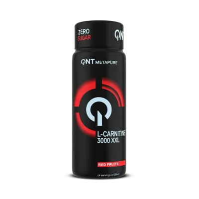 L-carnitin 3000 QNT 80 ml/SAGOREVAC MASTI