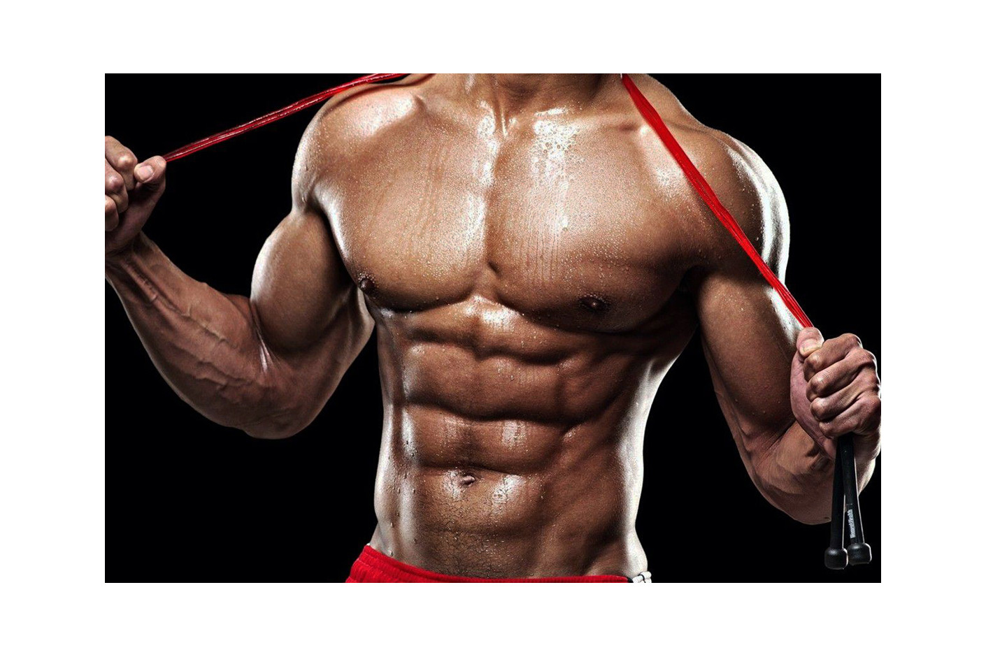 8 MITOVA O TRBUŠNJACIMA