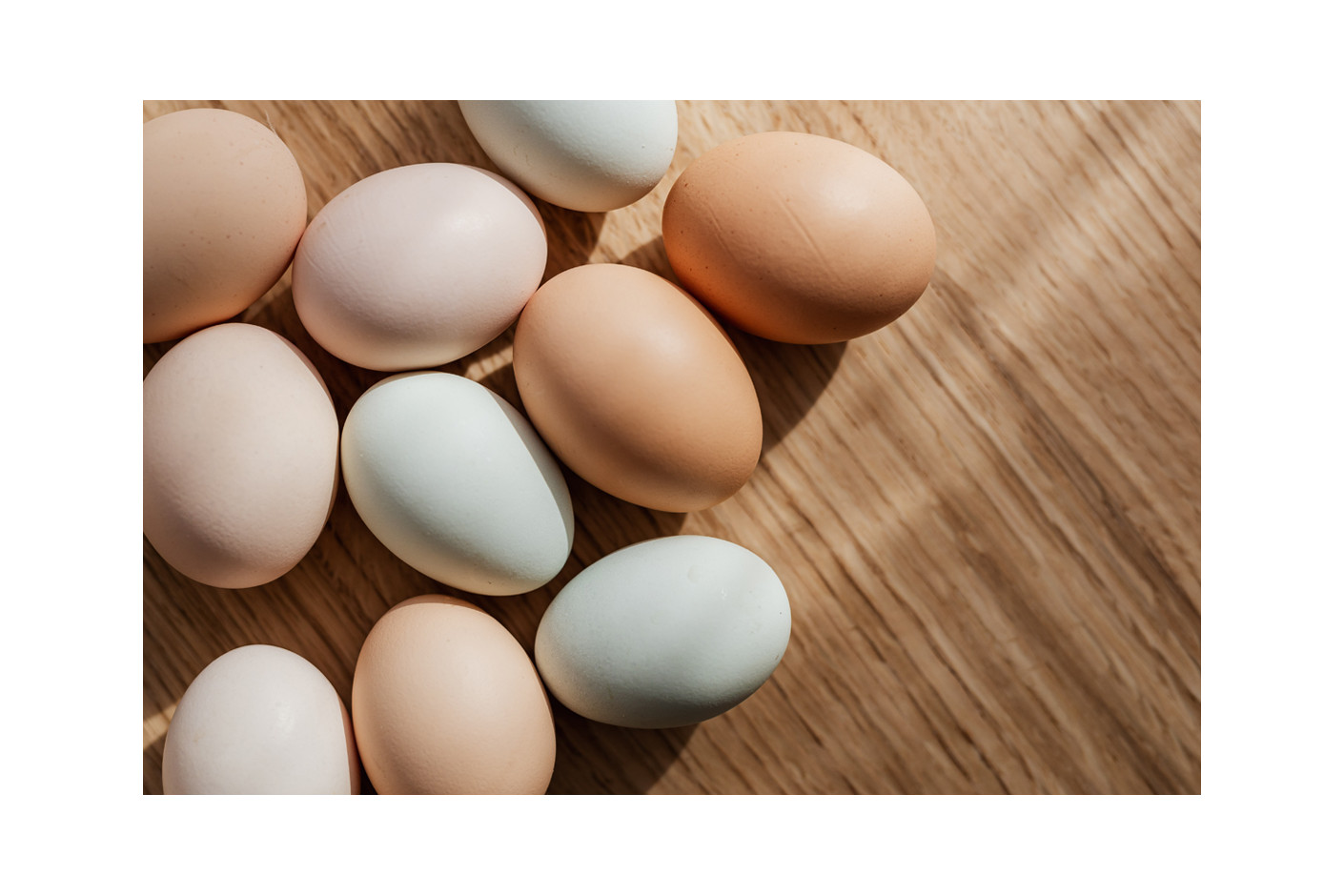 PROTEINI - ČEMU SLUŽE I KOJA JE NJIHOVA NAMENA