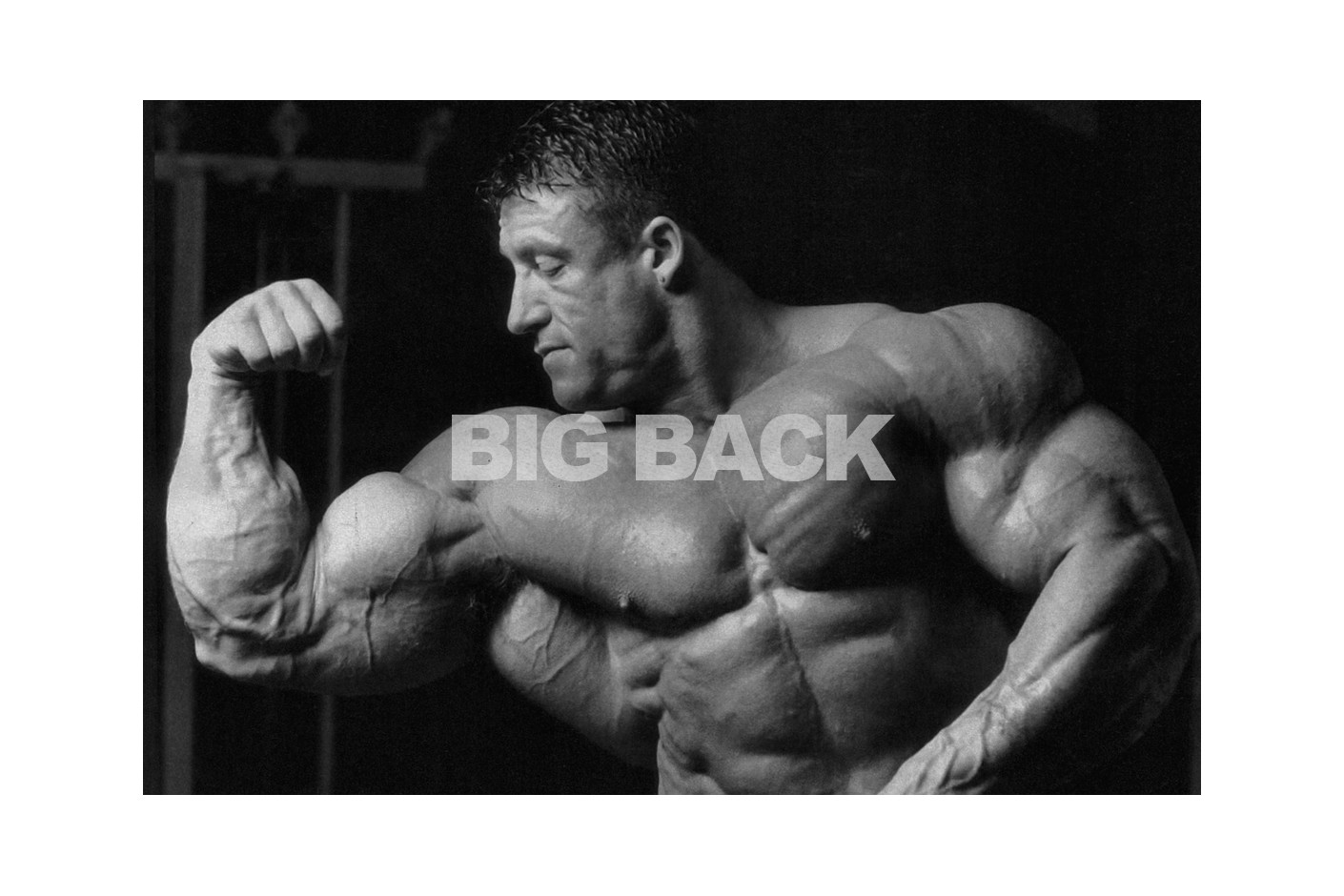 DORIAN YATES I TRENING ZA LEĐA