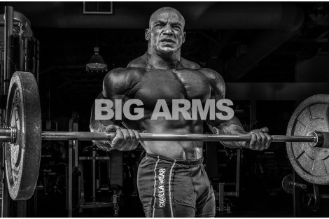 BIG RAMY I TRENING ZA RUKE