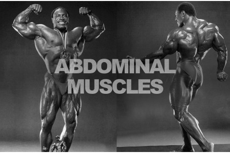 LEE HANEY I TRENING ZA ABDOMEN
