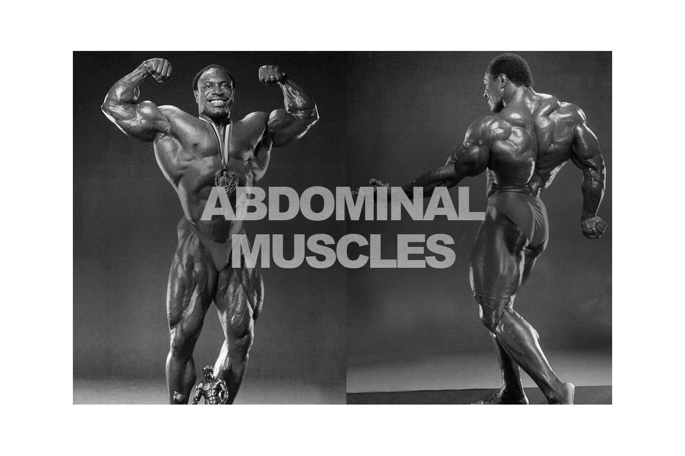 LEE HANEY I TRENING ZA ABDOMEN