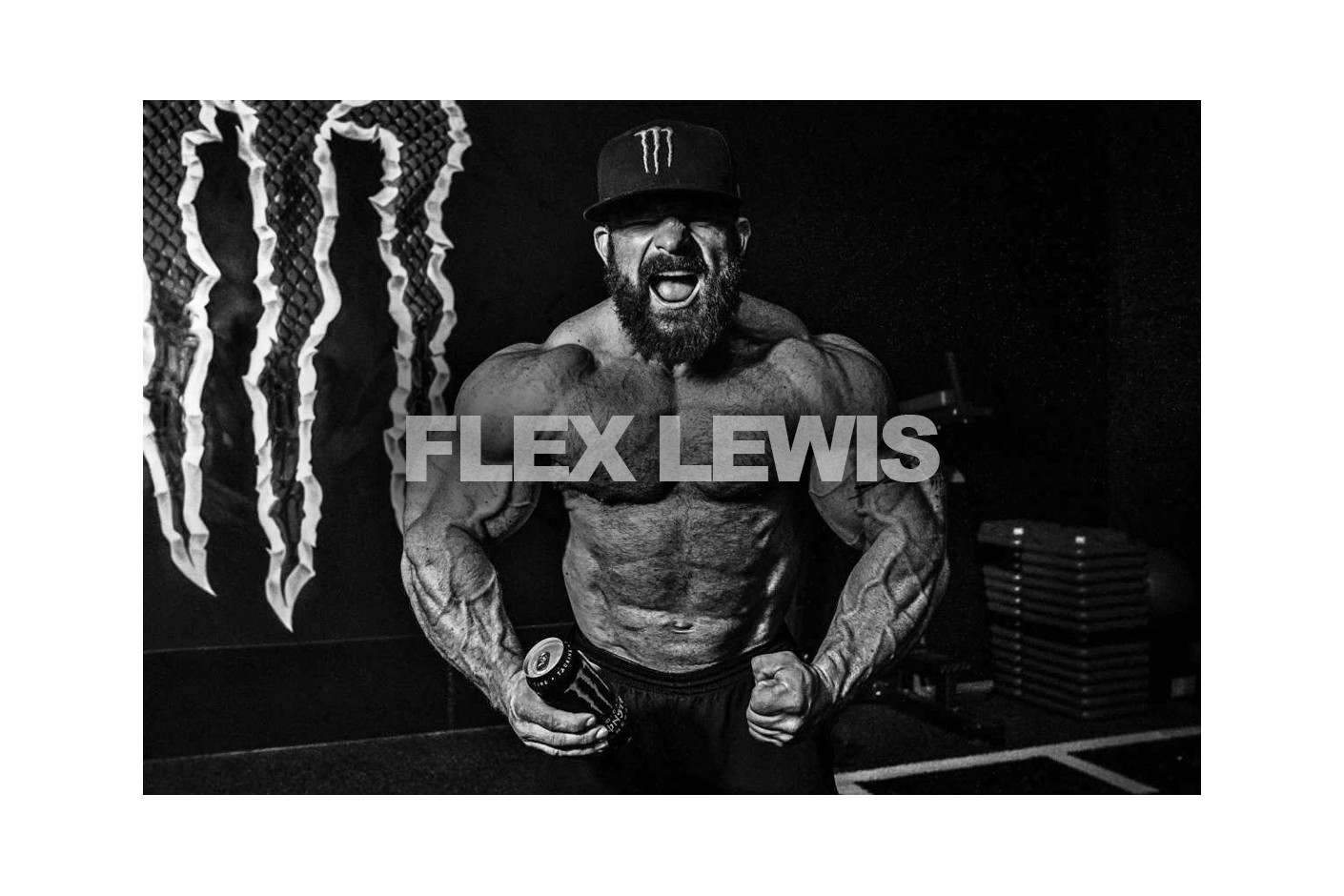 FLEX LEWIS –  PRINCIPI TRENINGA