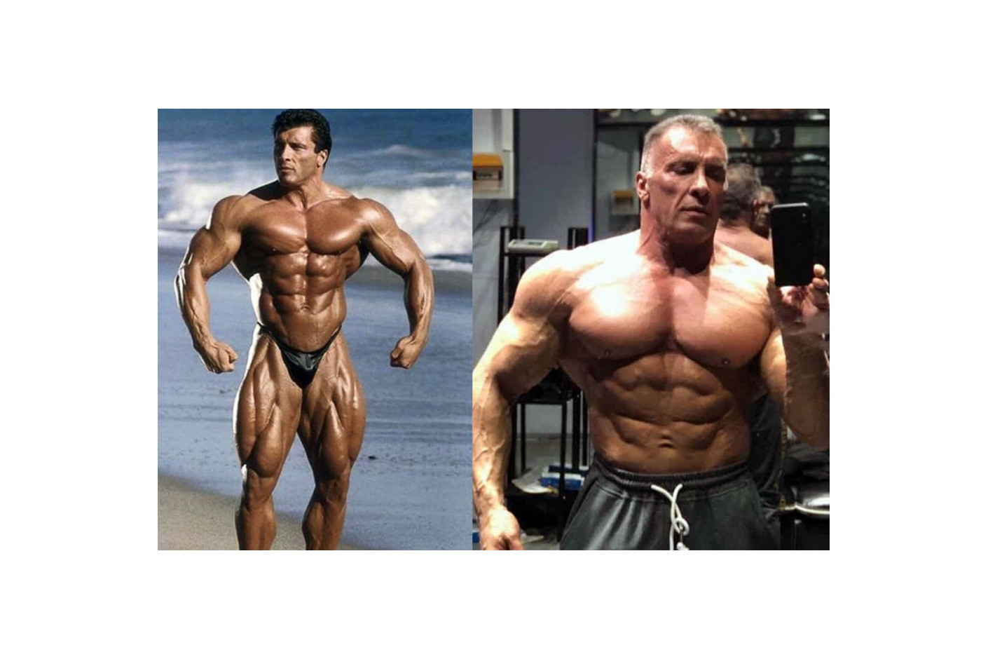 VELIKA ISPOVEST MILOŠA ŠARČEVA