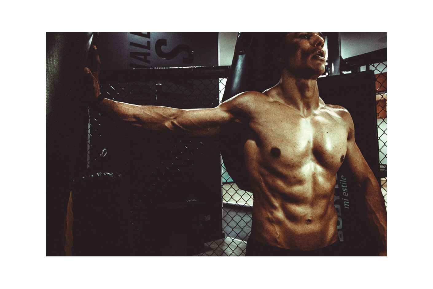 MIŠIĆNA MASA - DOSTIGLI STE PLATO?