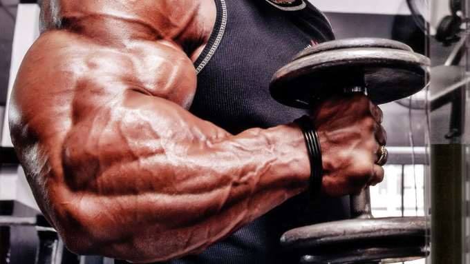 filozofija-treninga-za-izgradnju-misicne-mase