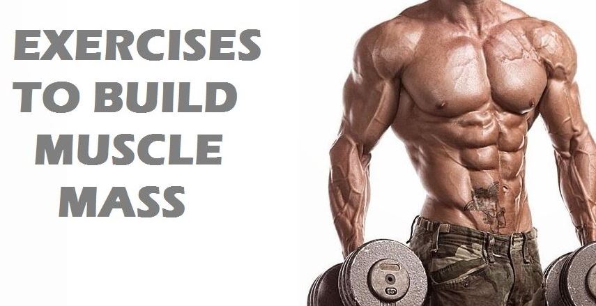 koliko-serija-je-za-misicnu-masu