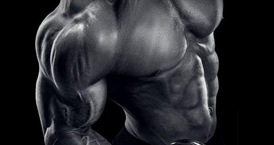 miostatin-i-misicna-masa