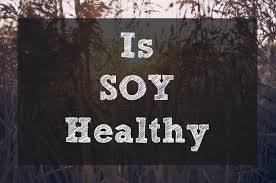 soja-koliko-je-stetna
