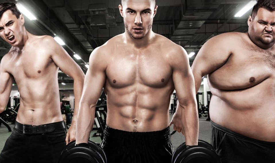 vas-telesni-tip-ogranicavajuci-faktor-u-teretani