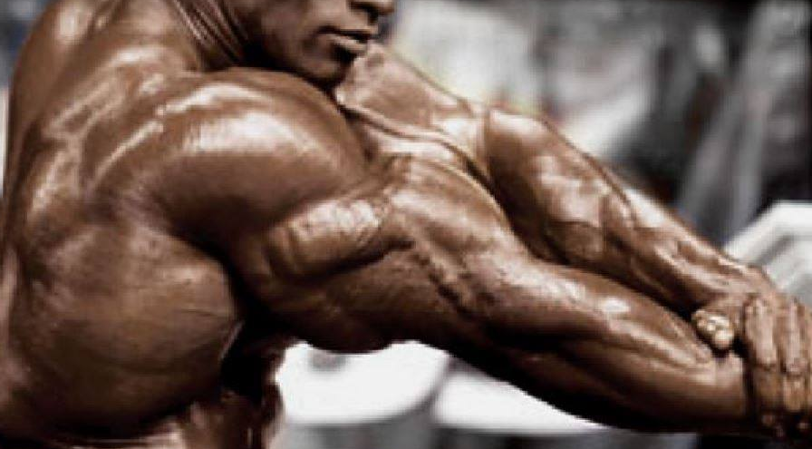 vezbe-za-masu-tricepsa